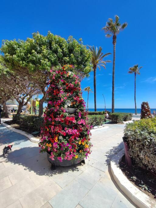 1st Line Of The Beach, La Rada Beach! Ac,wifi,terrace, Private Parking Apartment Estepona